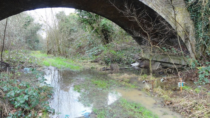 A picture of a bridge on the path before construction started. There is water and mud beneath it. 