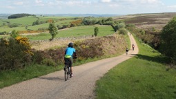 Cyclist in blue jersey following group of other cyclists on gravel path through countryside