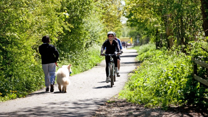 Cyclists and dog walker with white dog on tarmac cycle path with green verges