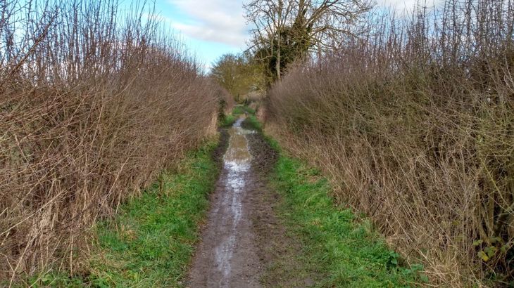 Long Wittenham bridleway before improvement works